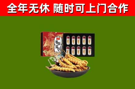 新野回收冬虫夏草价格